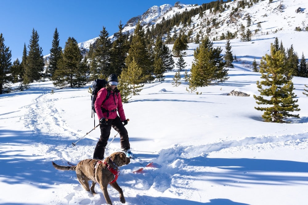 Colorado Ski