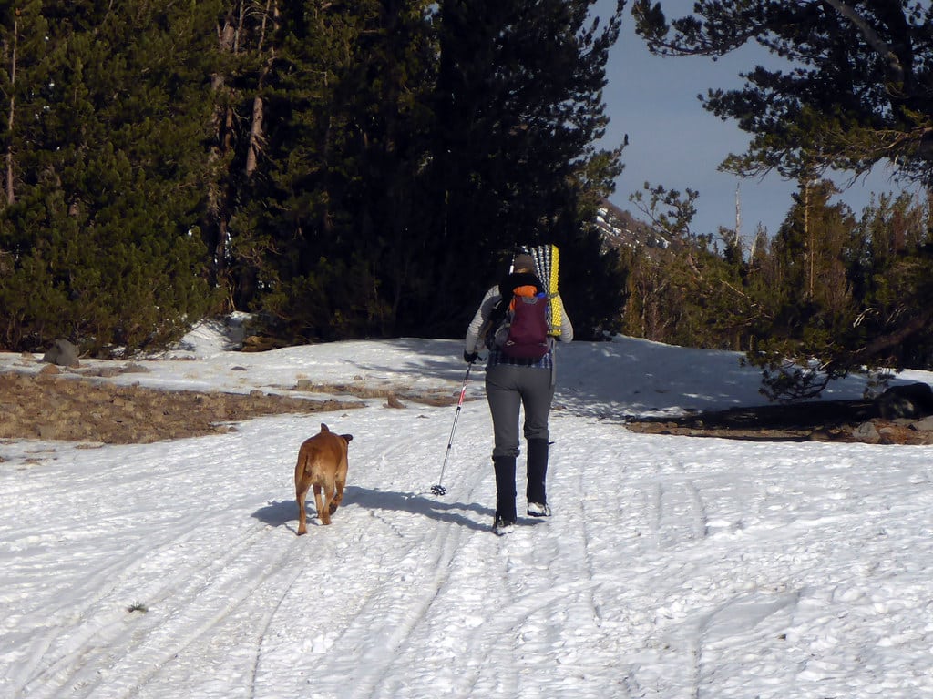 10 signs you're too old for après ski